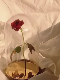 玫瑰侦探社