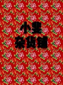小斐杂货铺……