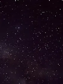 终归所愿
