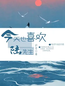 今天也喜欢陆先生——d371