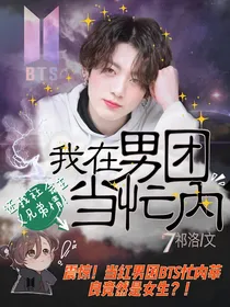 BTS：我在男团当忙内