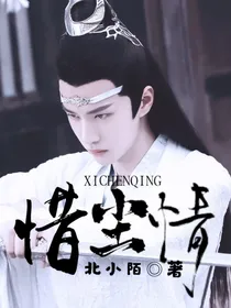 惜尘情（自陈情令改编）
