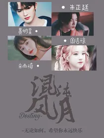 Destiny：混沌风月