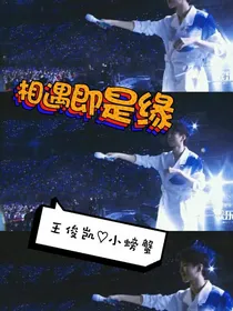 追星之甜蜜之路