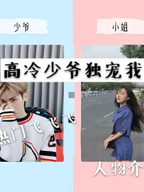 高冷少爷独宠我