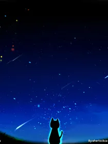 猫的岁月