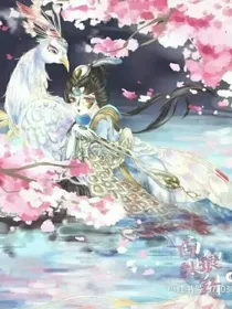 宿蝶吖