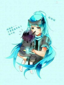 伽中的心