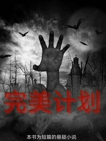 完美计划