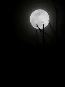西游外传之佛与道