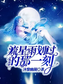 流星雨划过的那一刻