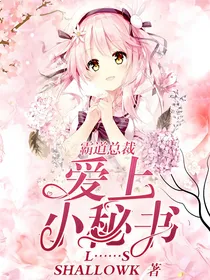 霸道总裁爱上小秘书L……S
