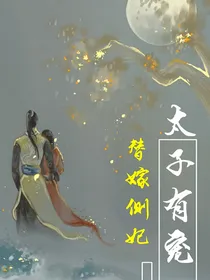 替嫁侧妃太子有宠