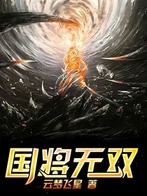 国将无双