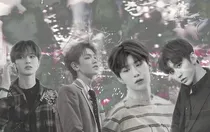 王炸四子：我们还爱你们