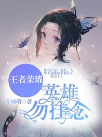 王者荣耀：英雄勿挂念