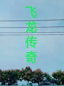 飞龙传奇