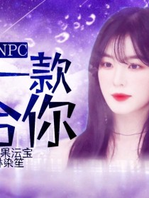 NPC：总有一款适合你