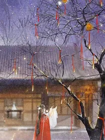 忘澜
