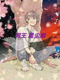 网王：星尘眠