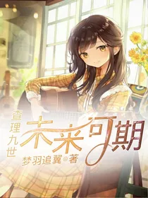 查理九世之未来可期——d343