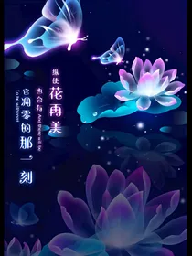 奥拉星同人小说