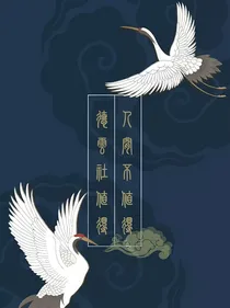 我是德云大小姐