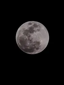 木司的语段