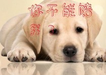 你不能陪我了
