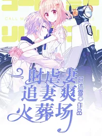 一时虐妻爽，追妻火葬场！