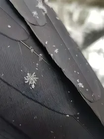 万妖门……