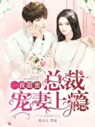 墨少的追妻