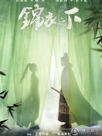 锦衣之下：短篇小续集