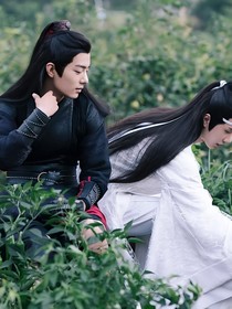 无城山茶