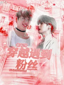 BTS之穿越遇到粉丝