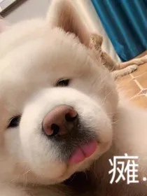 快穿之卑微改剧