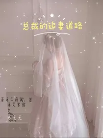 总裁的追妻道路-d420