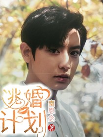  逃婚计划