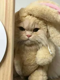 德云日常甜文