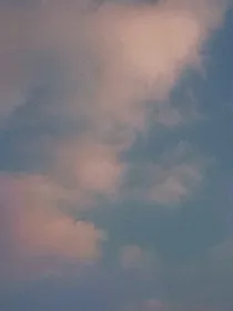 秦小胖的生活