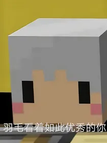 我的世界小狐大冒险