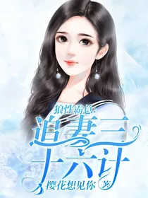 狼性霸总：追妻三十六计