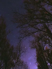 昼的夜