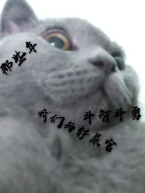 那些年，我们与铲屎官斗智斗勇