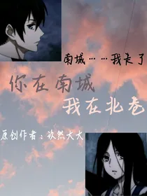 你在南城，我在北巷
