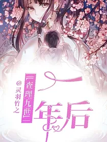 查理九世之一年后