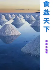 食盐天下
