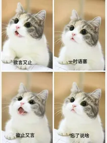 图片福利来了