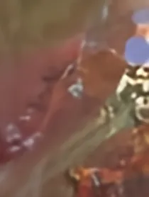 甜甜的小故事吖