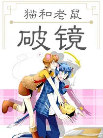 猫鼠之破镜